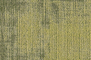 Ковровая плитка Milliken Change Agent - Europe com 83-75-71 Live Spell фото  | FLOORDEALER